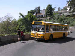 buss21.jpg (127825 byte)
